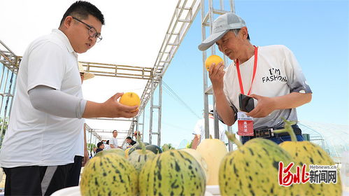 第四届中国 北方农业 蔬菜 科技创新发展大会在石家庄召开凤凰网河北 凤凰网