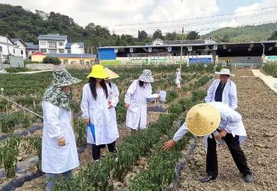 提升种业发展保障饭碗安全--贵阳市种业工作一瞥